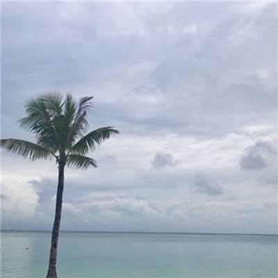 被困霍尔木兹第75天：导弹从头顶飞过，淡水只剩三天